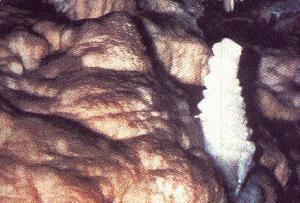CAVERNE
