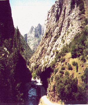 CANYON