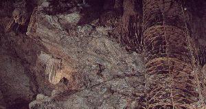 CAVERNE